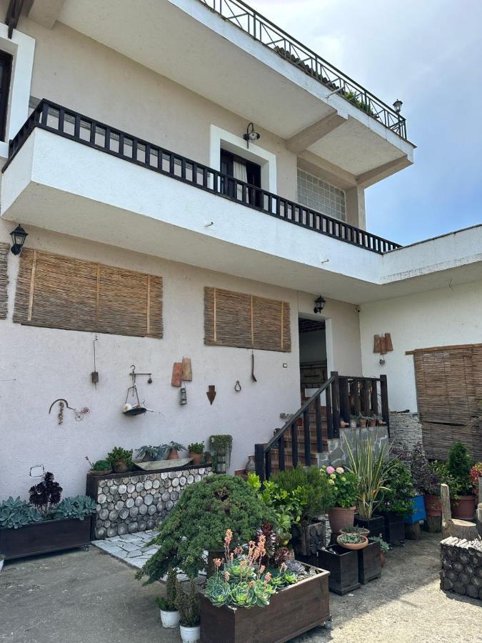 Bed & Breakfast Local Living Edi เบราท ภายนอก รูปภาพ