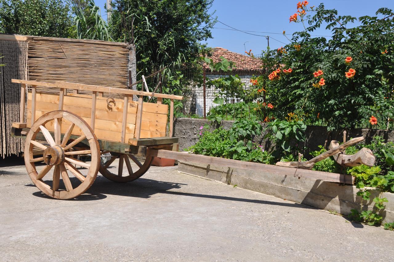 Bed & Breakfast Local Living Edi เบราท ภายนอก รูปภาพ